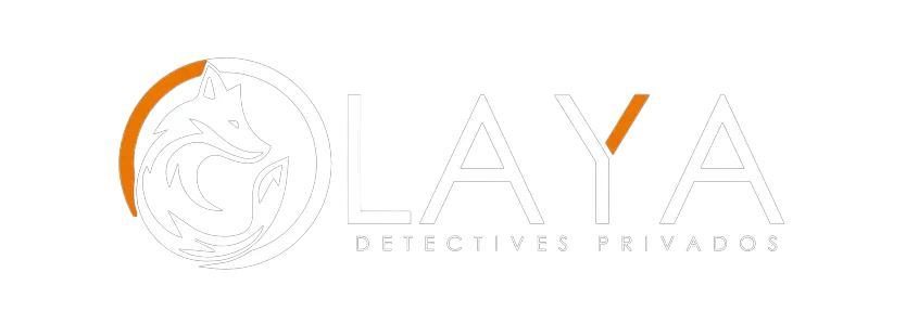 logo olayadetectives